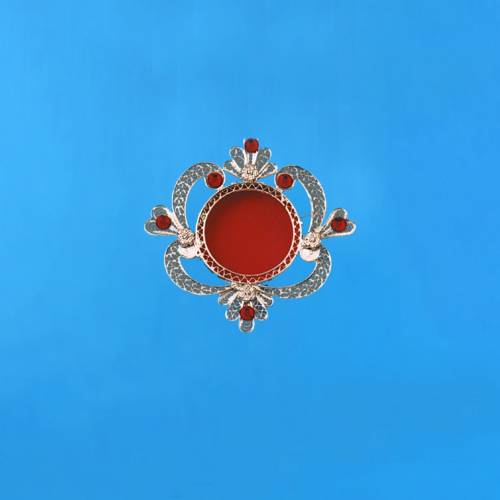 Case with red rhinestones