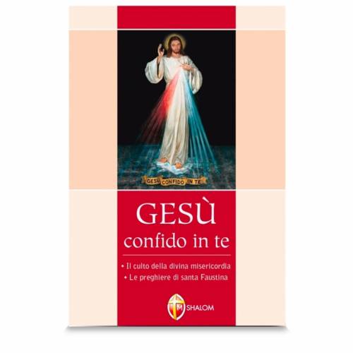 Jesus I trust you. The cult of Divine Mercy. Prayers of St. Faustina