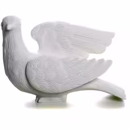 DOVES