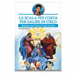The shortest stairway to the sky. Carlo Acutis