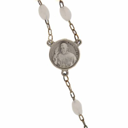 Divine Mercy Chaplet. Pope Francis booklet and rosary