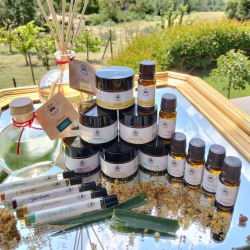 HOLY BIBLE OINTMENTS - NARDO